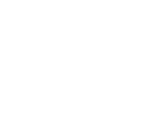 university-of-arizona-logo.png